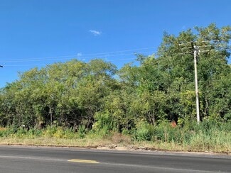 Plus de détails pour 460 W Irving Park Rd, Roselle, IL - Terrain à vendre