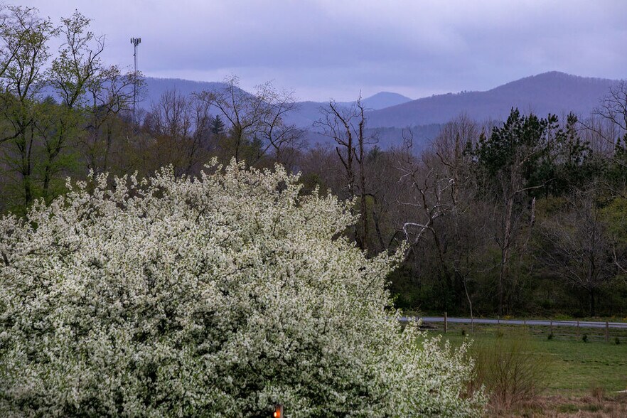 151 Everett Rd, Pisgah Forest, NC à vendre - Photo de l’immeuble – Image 3 sur 13