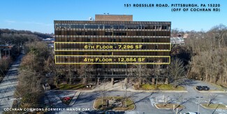 Plus de détails pour 151 Roessler Rd, Pittsburgh, PA - Bureau à louer
