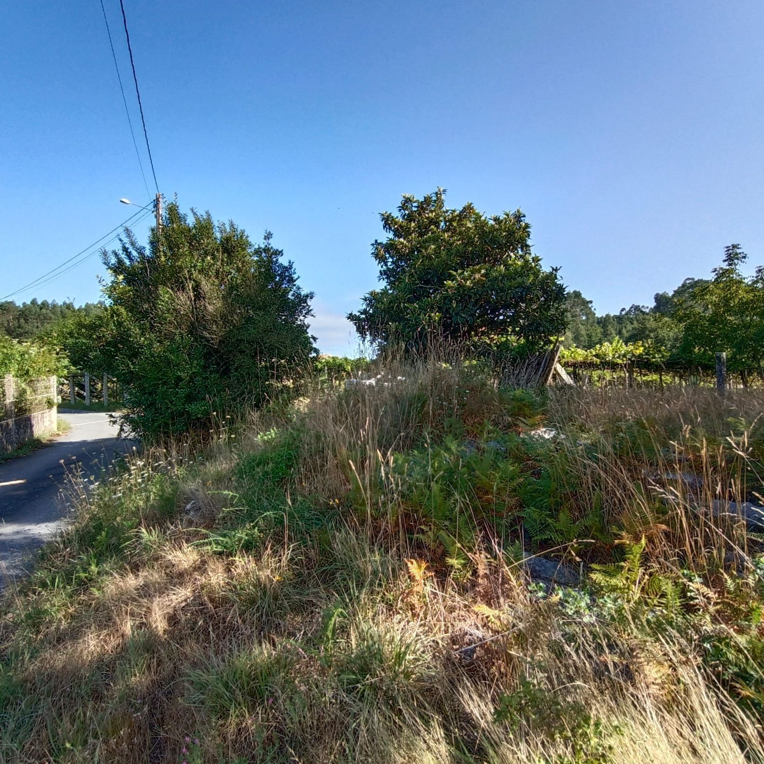 Lugar Lourido, 20, Barro, Pontevedra à vendre Photo de l’immeuble– Image 1 sur 24