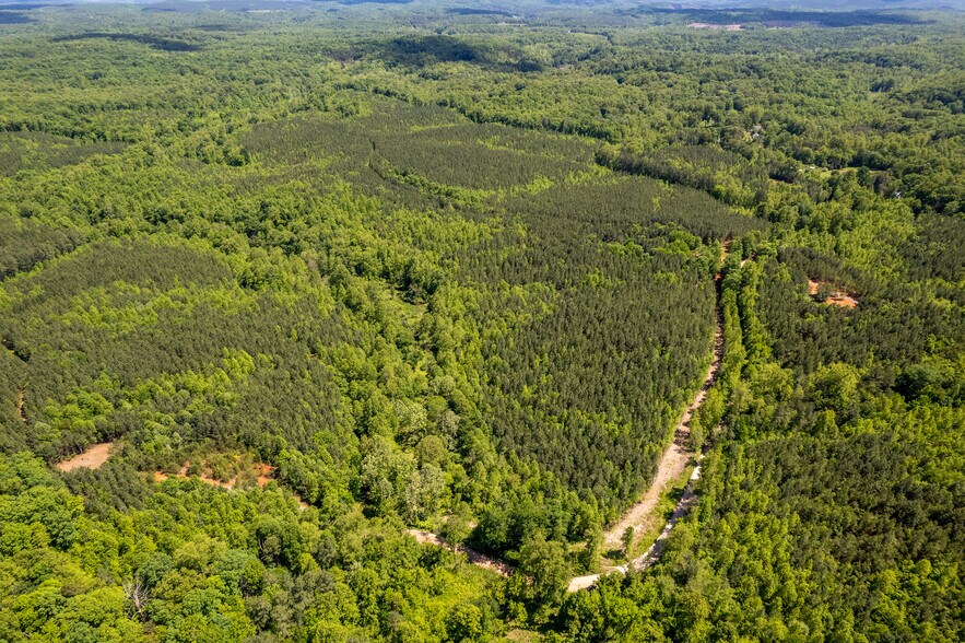 0 Green Creek Road, Schuyler, VA à vendre - Photo de l’immeuble – Image 2 sur 30