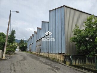 Plus de détails pour 12 Rue D'Allonal, Saint-Amour - Industriel/Logistique à vendre