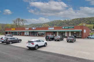 Plus de détails pour Rte 66, North Apollo, PA - Local commercial à louer