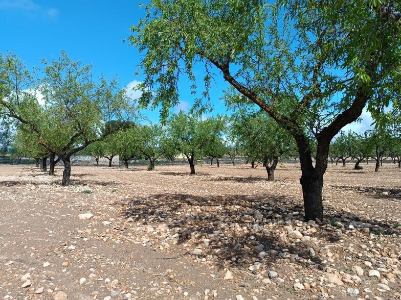 Terrain dans MURCIA à vendre - Photo principale – Image 2 sur 7
