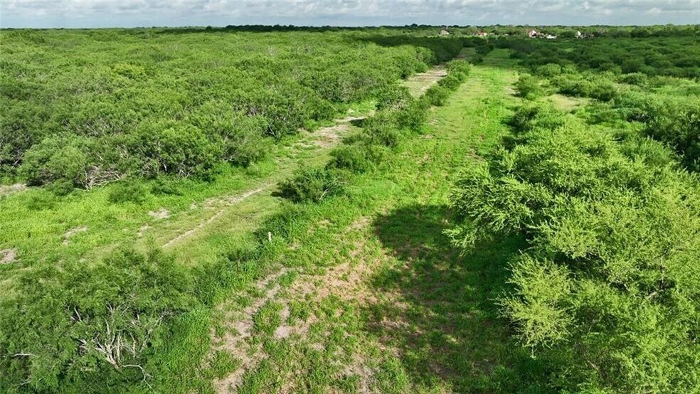 CR 2170, Ricardo, TX à vendre - Photo de l’immeuble – Image 3 sur 6
