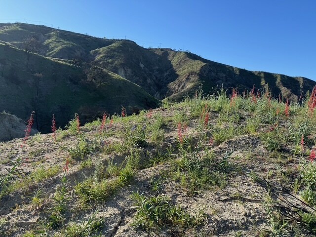 31029 Hasley Canyon Rd, Castaic, CA à vendre - Photo de l’immeuble – Image 2 sur 24