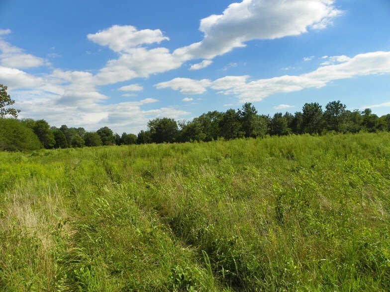 John J Williams Hwy, Millsboro, DE à vendre - Autre – Image 3 sur 6