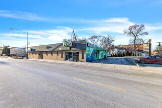 Plus de détails pour 6915 Stanley Ave, Berwyn, IL - Industriel/Logistique à vendre