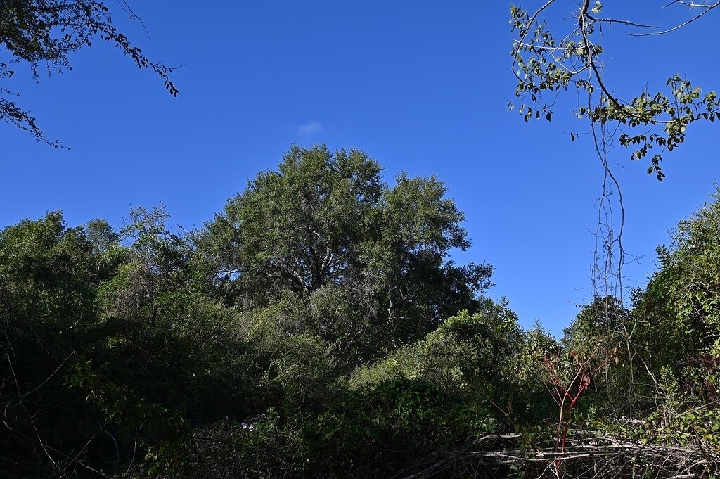 View Photo