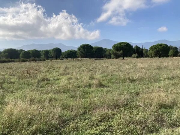 Terrain dans Palau-del-Vidre à vendre - Plan de site – Image 2 sur 4