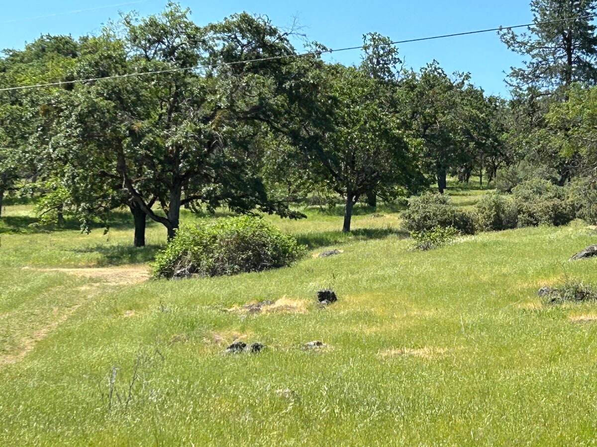 View Photo