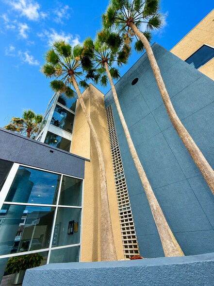 22 S Links Ave, Sarasota, FL à louer - Photo de l’immeuble – Image 3 sur 16