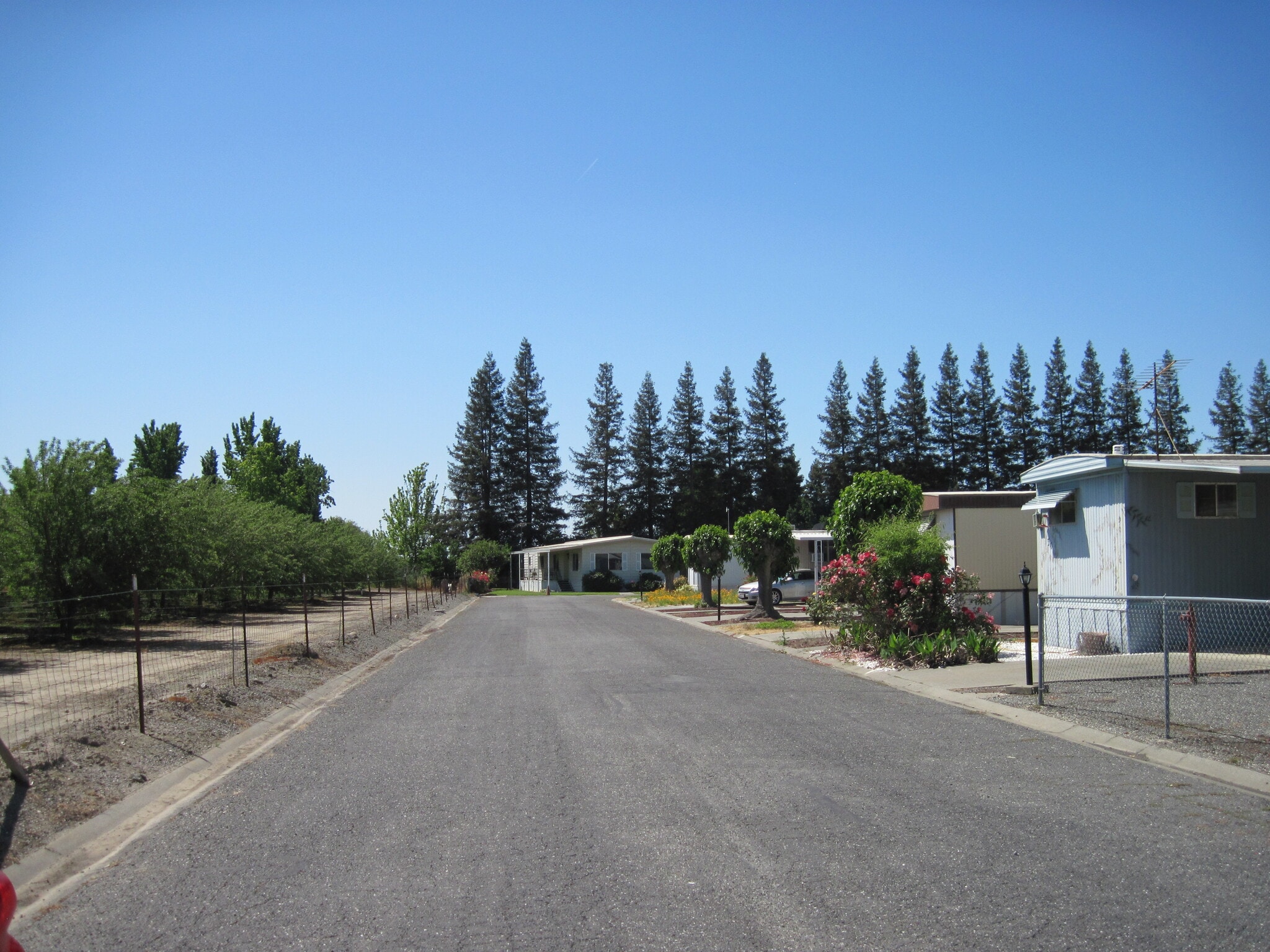 7043 State Highway 32, Orland, CA à vendre Photo principale– Image 1 sur 6