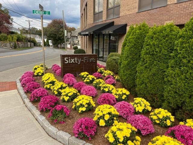 65 Locust Ave, New Canaan, CT à louer - Photo de l’immeuble – Image 3 sur 6