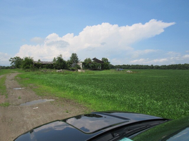 View Photo