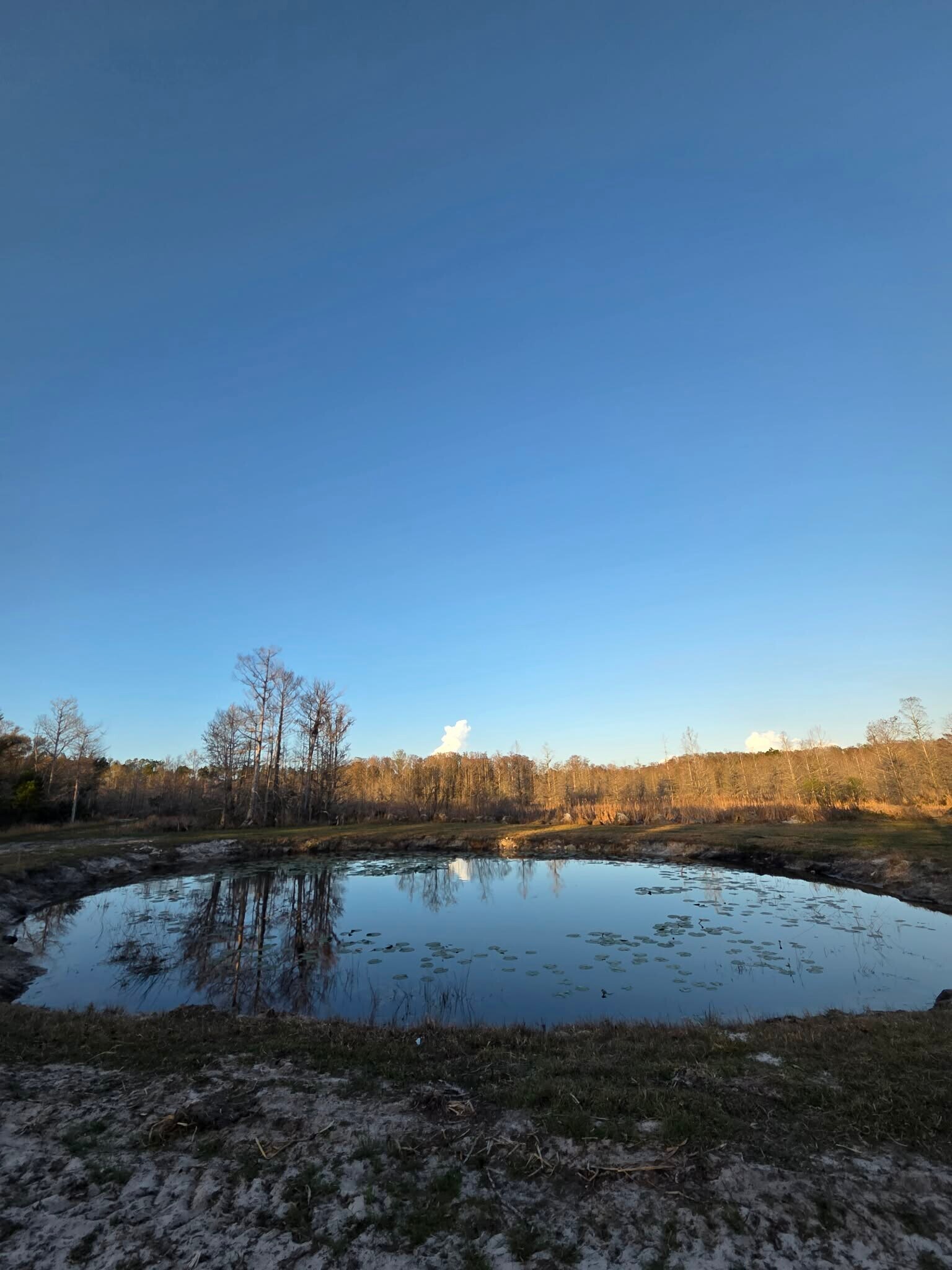 1106 Fox Hunter rd, Perry, FL à vendre Photo principale– Image 1 sur 14