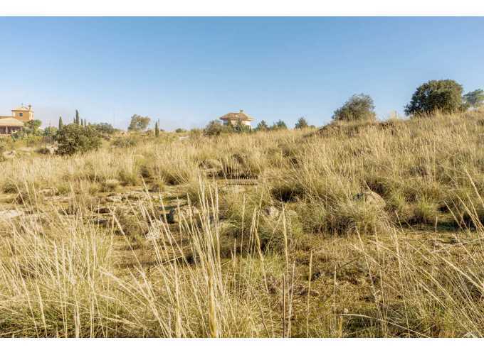 Terrain dans Toledo, Toledo à vendre - Photo de l’immeuble – Image 3 sur 28