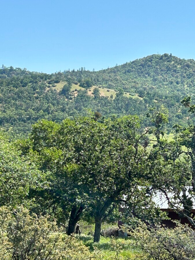 View Photo