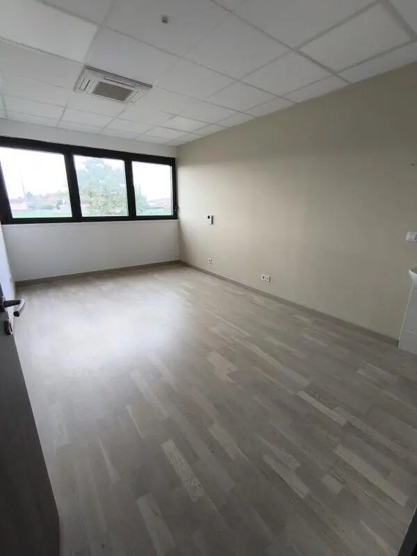 Plus de détails pour 244 Rue Du Point Du Jour, Saint-Denis-lès-Bourg - Bureau à louer