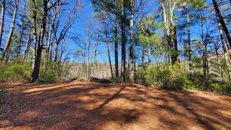 Plus de détails pour Mountain Cove Estates Rd, Cherry Log, GA - Terrain à vendre