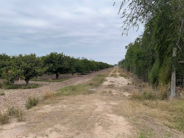 42.90 Acs at NE Corner of S. Stewart & Hall Acres, San Juan, TX à vendre Photo principale– Image 1 sur 7