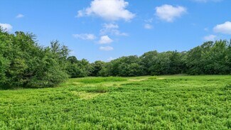 Plus de détails pour TBD County Road 265, Collinsville, TX - Terrain à vendre