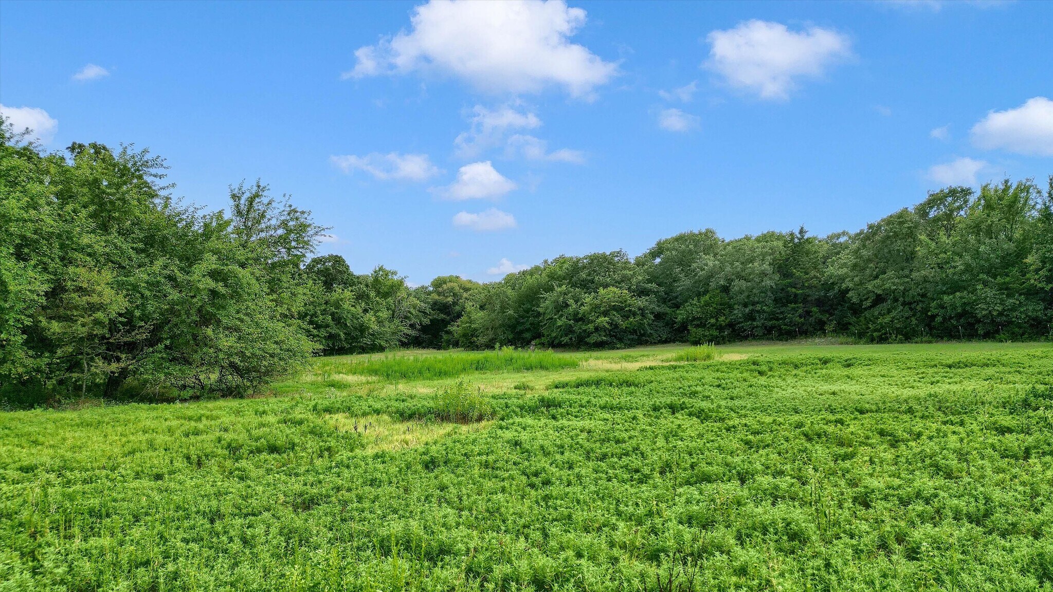 TBD County Road 265, Collinsville, TX à vendre Photo de l’immeuble– Image 1 sur 31