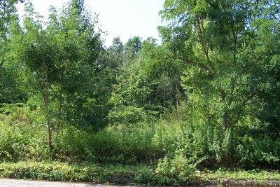 1 Barnet Rd, Montville Township, NJ à vendre - Photo principale – Image 1 sur 10