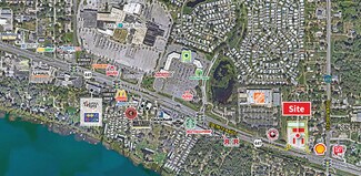 Plus de détails pour 10941 US Highway 441, Leesburg, FL - Terrain à louer