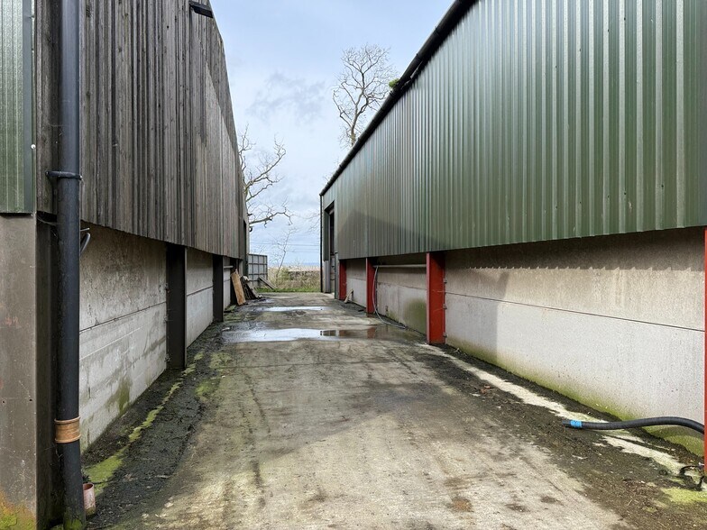 Partridge Ln, Newdigate à louer - Photo de l’immeuble – Image 3 sur 3