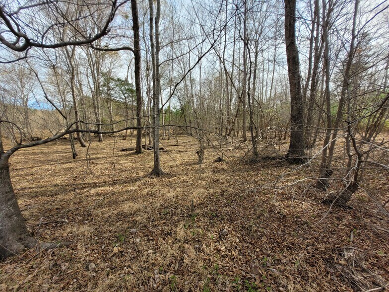 0000 N. Frazier Rd, Mebane, NC à vendre - Photo principale – Image 1 sur 10