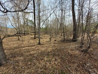 Plus de détails pour 0000 N. Frazier Rd, Mebane, NC - Terrain à vendre