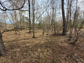 Plus de détails pour 0000 N. Frazier Rd, Mebane, NC - Terrain à vendre