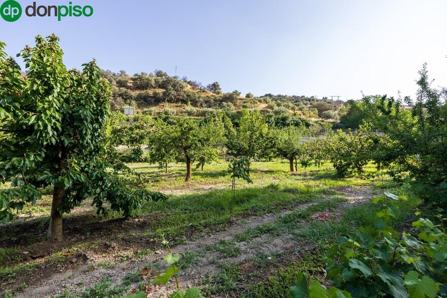 Paseo la Duquesa, S/N, Pinos Genil, Granada à vendre - Photo de l’immeuble – Image 2 sur 41