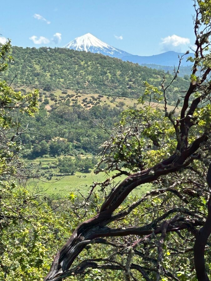 View Photo