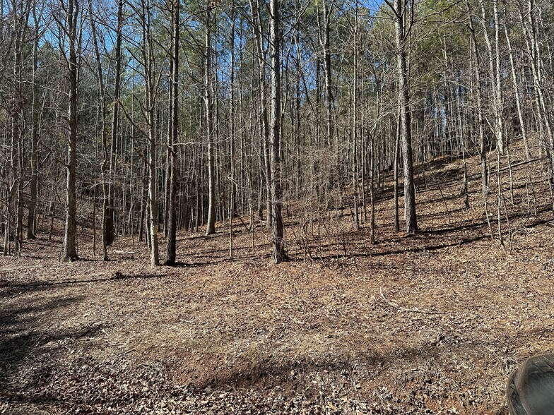 3472 Prior Station Rd, Cedartown, GA à vendre - Photo de l’immeuble – Image 3 sur 73