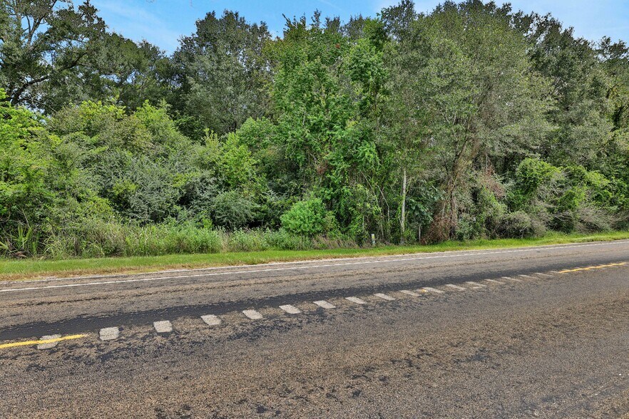TBD Texas 156, Coldspring, TX à vendre - Autre – Image 2 sur 10
