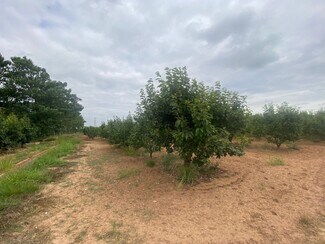 Plus de détails pour Mataburres, Carlet, Alrededores, Carlet - Terrain à vendre