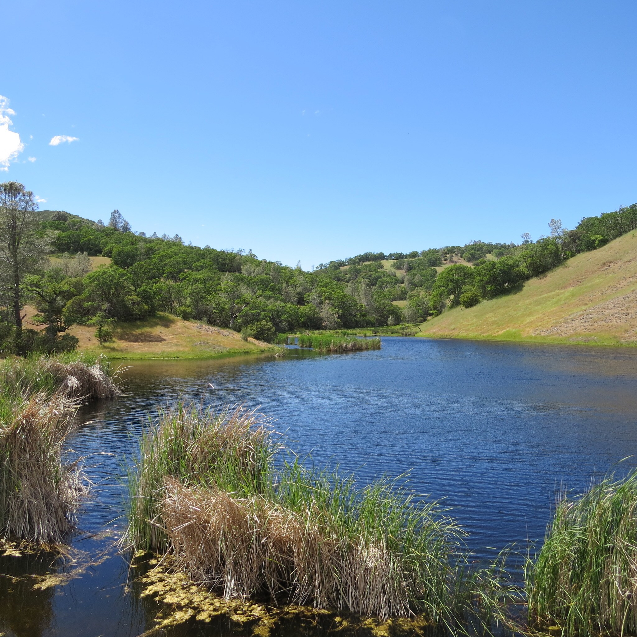 34360 San Antonio Valley Rd, Livermore, CA à vendre Autre– Image 1 sur 15