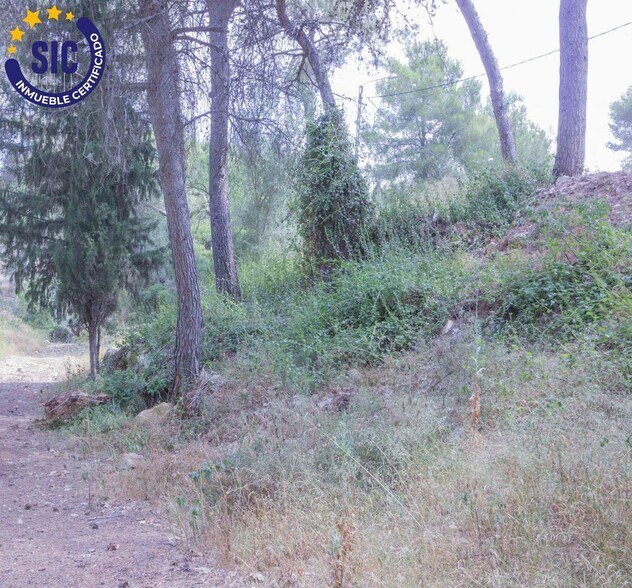 Terrain dans Godelleta à vendre - Photo de l’immeuble – Image 2 sur 6