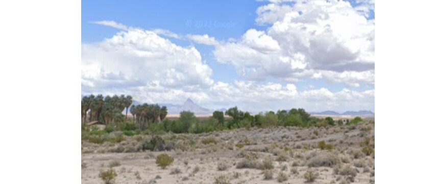 4825 Warm Springs Rd, Moapa, NV à vendre Photo principale– Image 1 sur 4