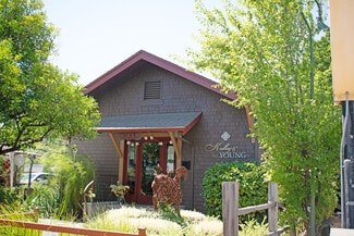 Plus de détails pour 119 S Cloverdale Blvd, Cloverdale, CA - Local commercial à vendre