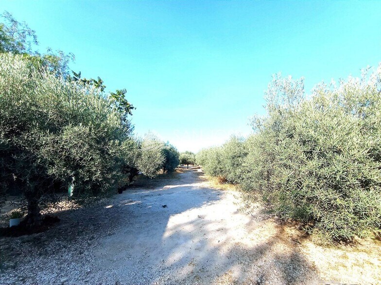 Terrain dans La Romana, Alicante à vendre - Photo principale – Image 2 sur 20