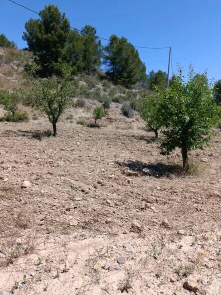 Terrain dans Cehegín, Murcia à vendre - Plan de site – Image 1 sur 12