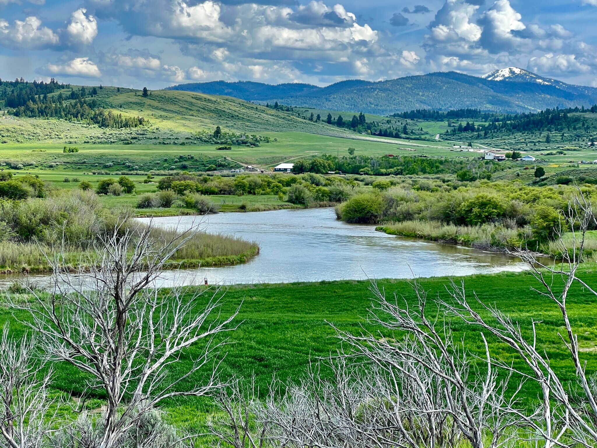 TBD S. Bailey Creek, Soda Springs, ID à vendre Photo principale– Image 1 sur 36