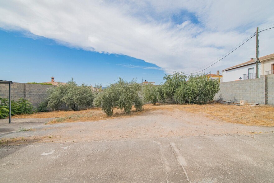 Nivar, 40, Moraleda de Zafayona, Granada à vendre - Photo de l’immeuble – Image 2 sur 18