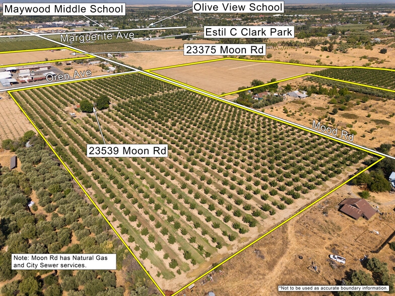0 Moon Rd, Corning, CA à vendre - Photo de l’immeuble – Image 2 sur 20