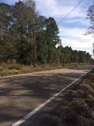 Plus de détails pour Lee Rd- Hwy 437, Covington, LA - Terrain à vendre