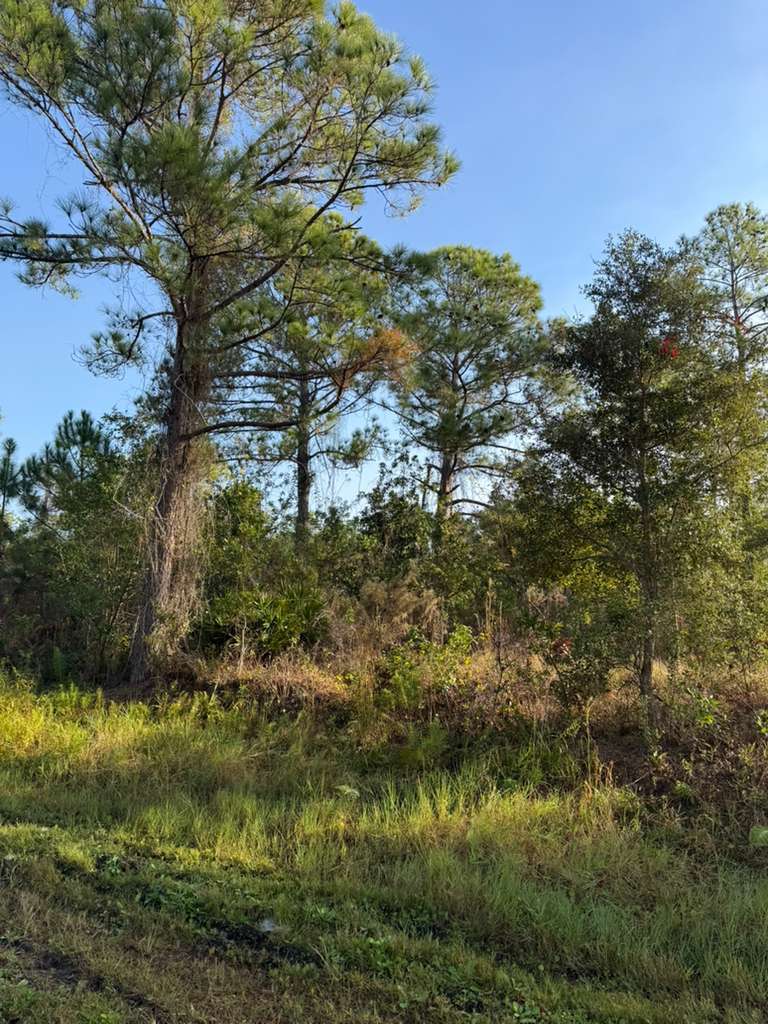 8024 Cabo dr, Sebring, FL à vendre Photo principale– Image 1 sur 2