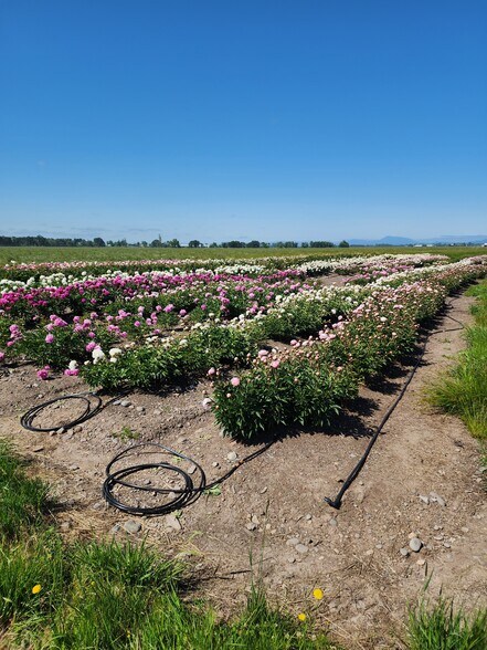 35730 Highway 20 SE, Albany, OR à vendre - Photo de l’immeuble – Image 3 sur 27